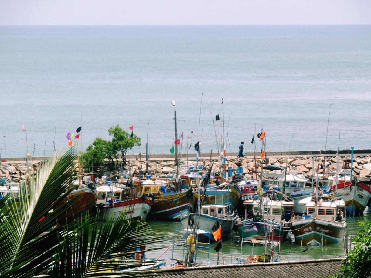 Sea Avenue - Eco Garden Hotel Tangalle Ngoại thất bức ảnh