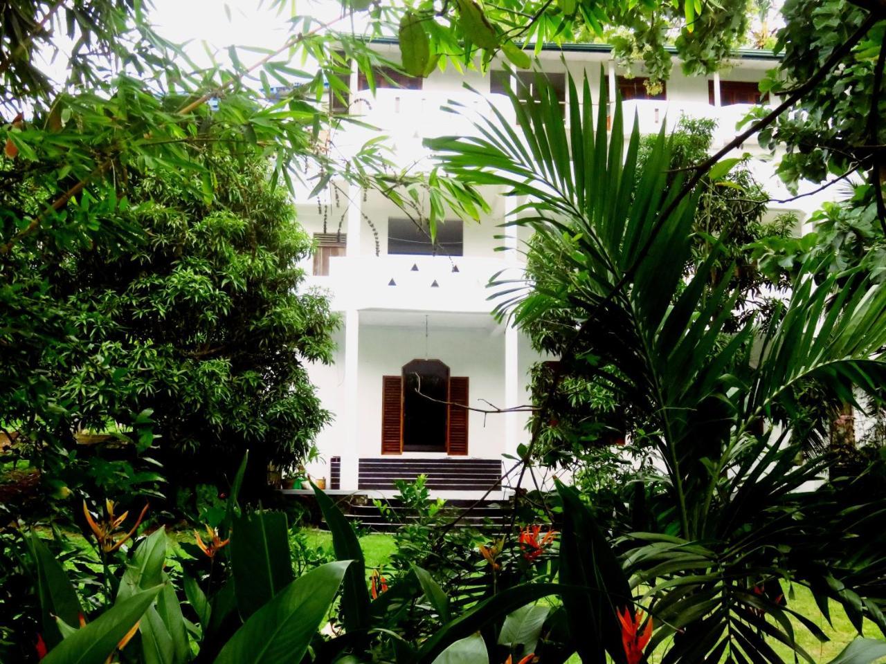 Sea Avenue - Eco Garden Hotel Tangalle Ngoại thất bức ảnh