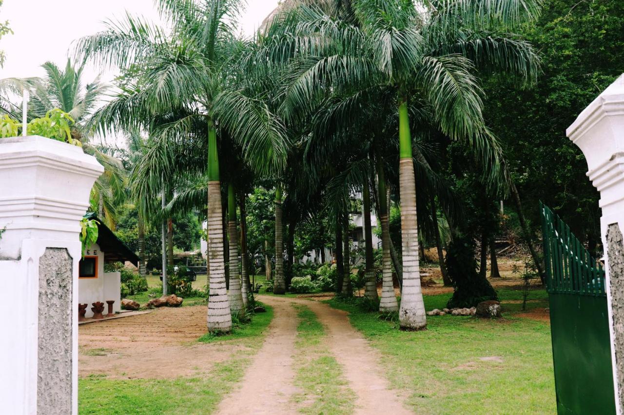 Sea Avenue - Eco Garden Hotel Tangalle Ngoại thất bức ảnh