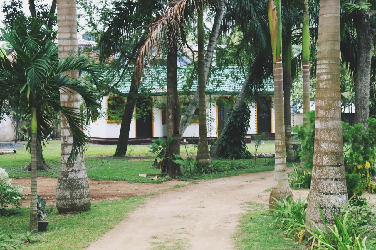 Sea Avenue - Eco Garden Hotel Tangalle Ngoại thất bức ảnh