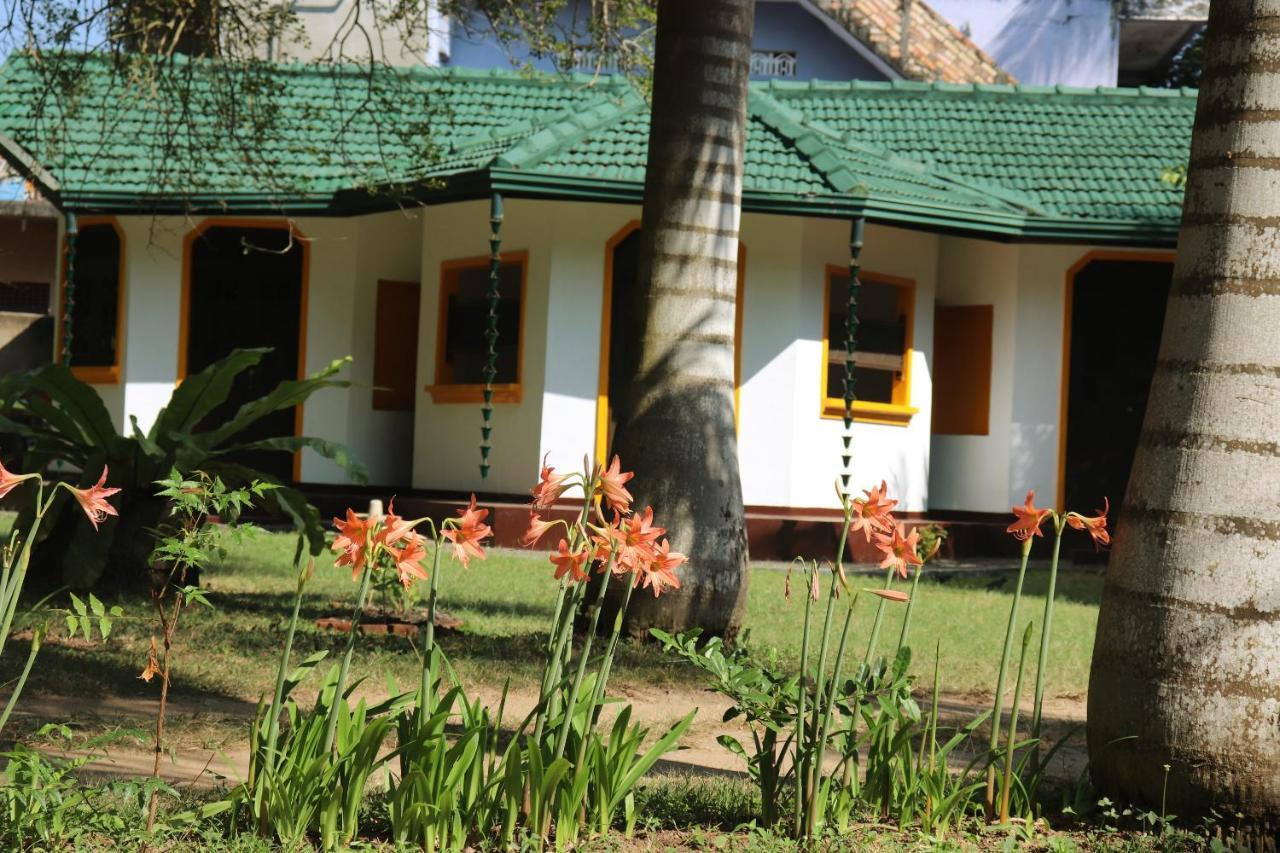 Sea Avenue - Eco Garden Hotel Tangalle Ngoại thất bức ảnh