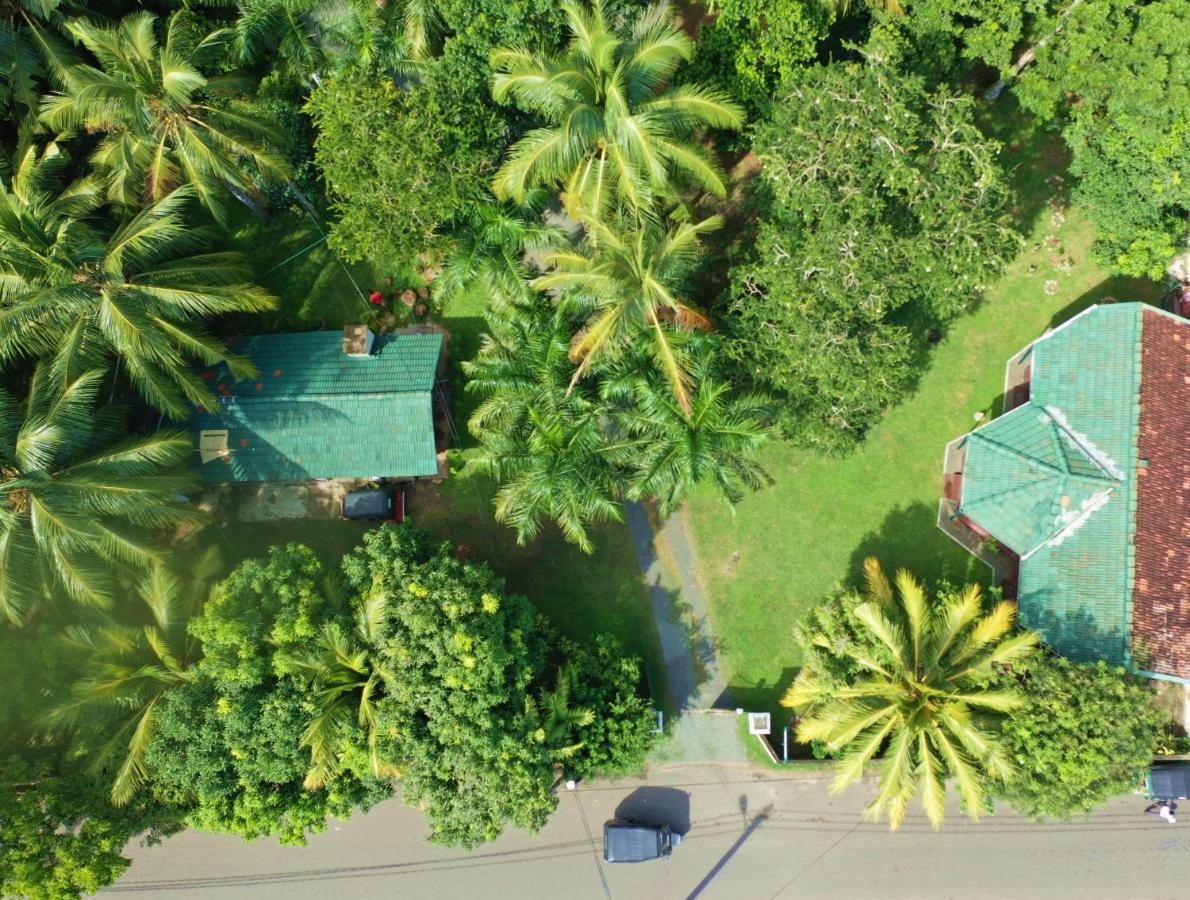 Sea Avenue - Eco Garden Hotel Tangalle Ngoại thất bức ảnh